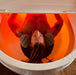 Dreampod Home Float Plus - Float Tanks - Dreampod