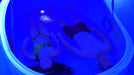 Dreampod Stealth Float Pods - Float Tanks - Dreampod