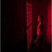HealthSmart Red Light Therapy Panel (Large) - Red light Therapy - HealthSmart