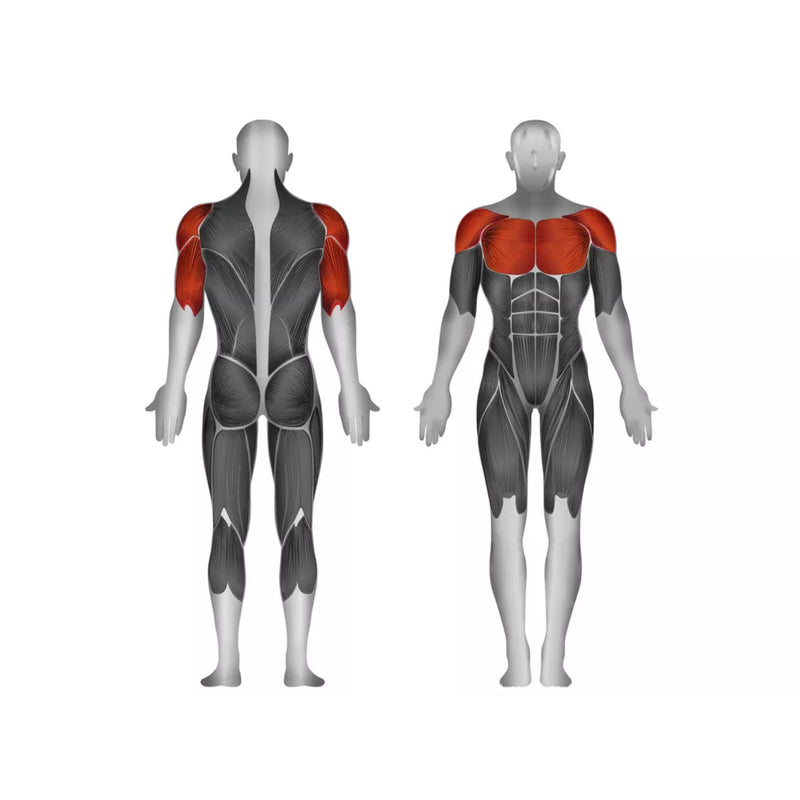 Steelflex Chest/Shoulder Incline Press - Strength Machines - Steelflex