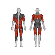 Steelflex Counter Balanced Smith Machine - Strength Machines - Steelflex