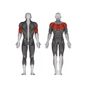 Steelflex JGBP100 Chest Press - Strength Machines - Steelflex