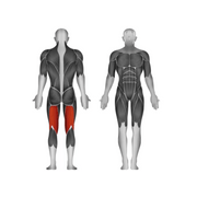 Steelflex JGLC400 Leg Curl - Strength Machines - Steelflex