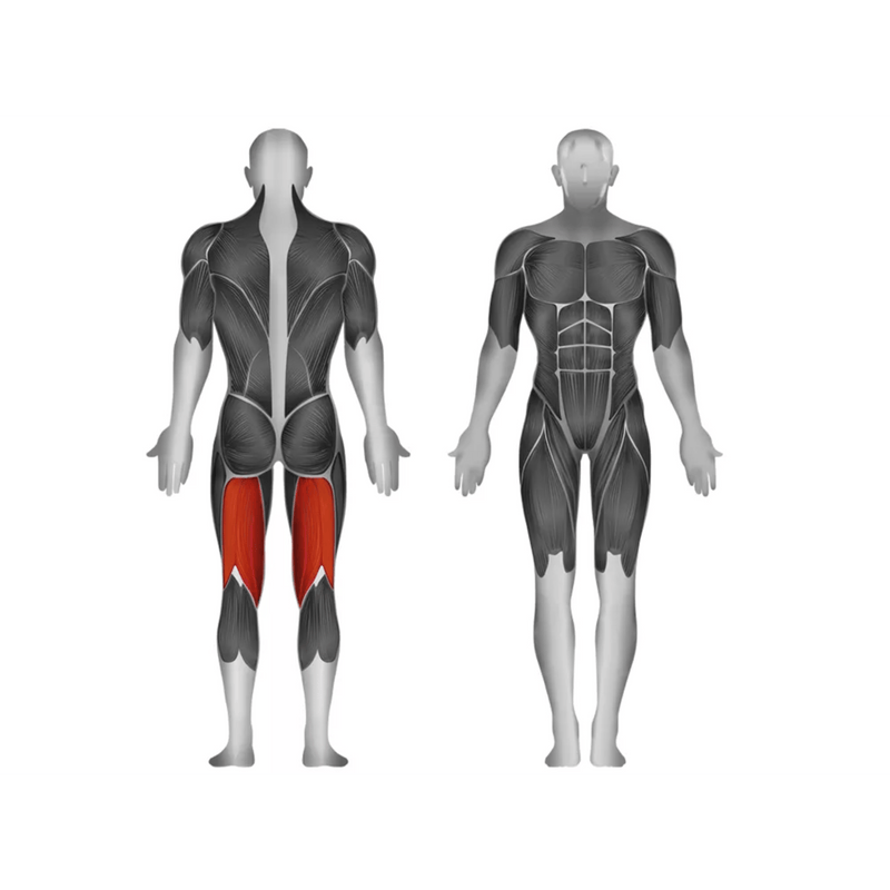 Steelflex JGLC400 Leg Curl - Strength Machines - Steelflex