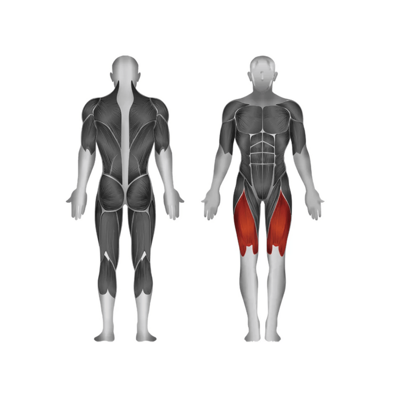 Steelflex JGLE200 Leg Extension - Strength Machines - Steelflex