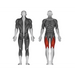 Steelflex JGLE200 Leg Extension - Strength Machines - Steelflex