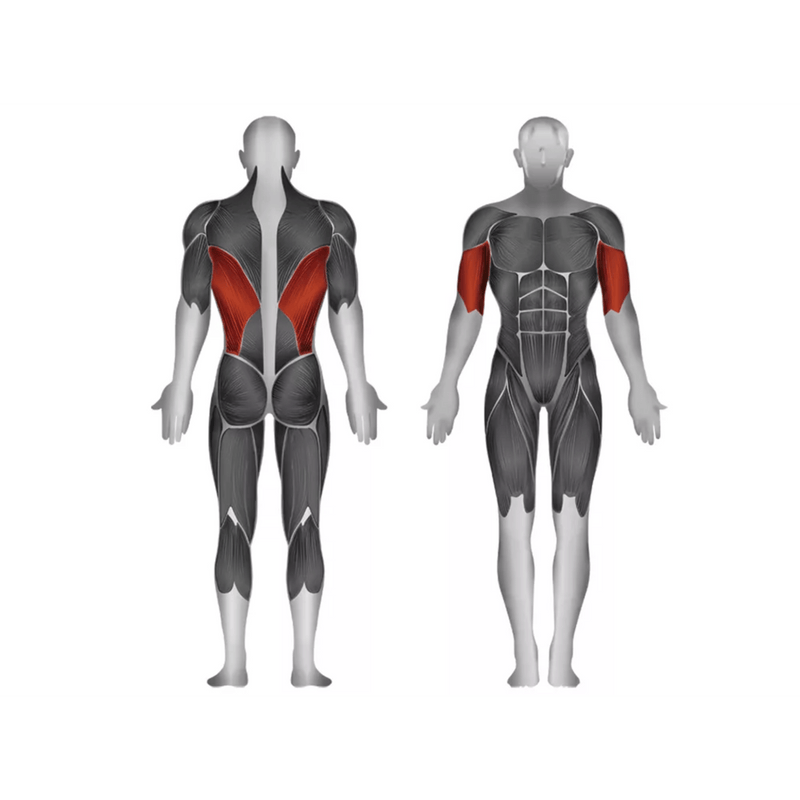 Steelflex JGLM300 Lat Pulldown - Strength Machines - Steelflex