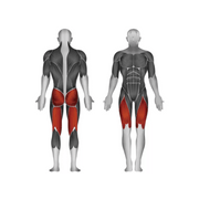 Steelflex JGLP500 Leg Press - Strength Machines - Steelflex