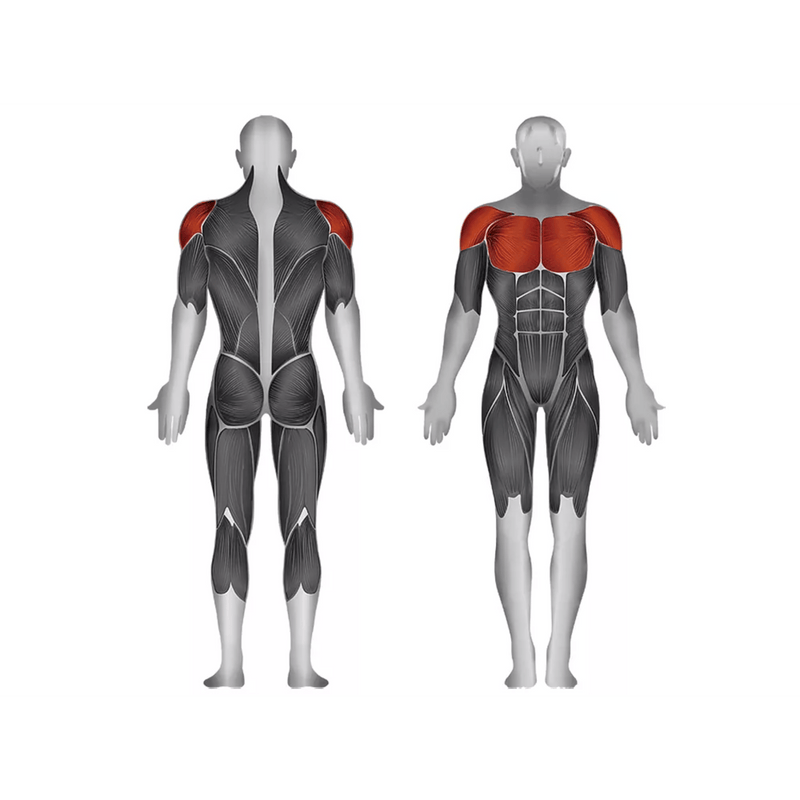 Steelflex JGPD700 Ped/Rear Deltoid - Strength Machines - Steelflex