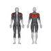 Steelflex JGPD700 Ped/Rear Deltoid - Strength Machines - Steelflex