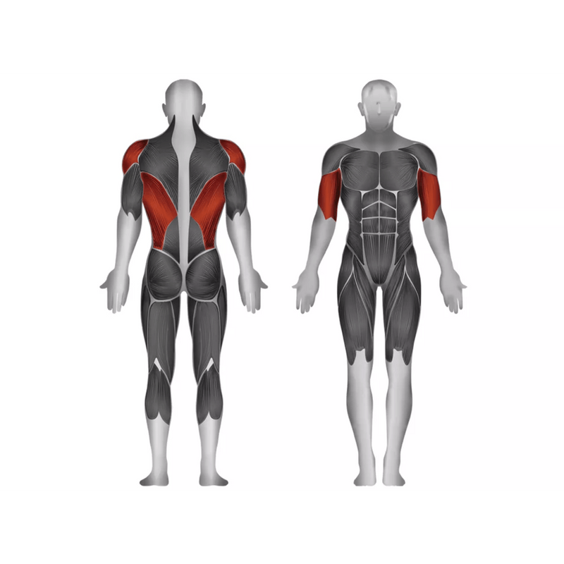 Steelflex JGRM1700 Seated Row - Strength Machines - Steelflex