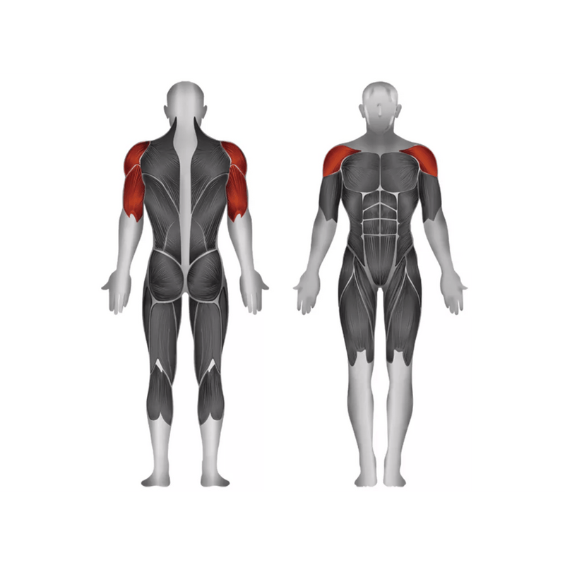 Steelflex JGSP800 Shoulder Press - Strength Machines - Steelflex