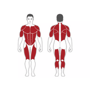 Steelflex MG100B Multi - Gym - Strength Machines - Steelflex