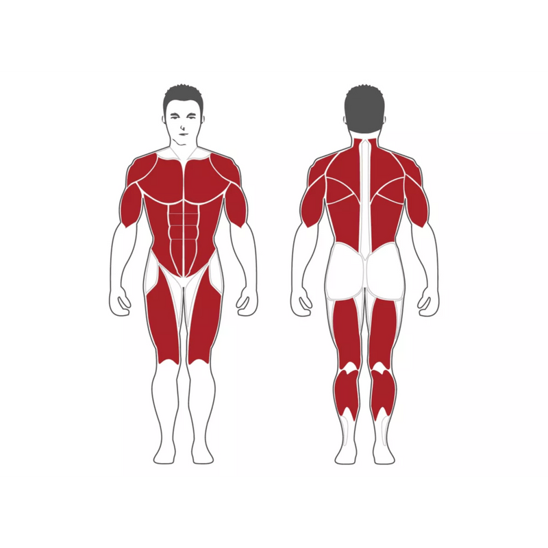 Steelflex MG100B Multi - Gym - Strength Machines - Steelflex