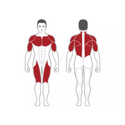 Steelflex MG3000 - Strength Machines - Steelflex