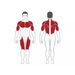 Steelflex MG3000 - Strength Machines - Steelflex
