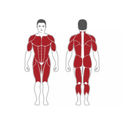 Steelflex MG300B Multi - Gym - Strength Machines - Steelflex