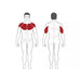 Steelflex NOFB Olympic Flat Bench - Benches - Steelflex