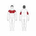 Steelflex Plate Loaded Bench Press - Strength Machines - Steelflex