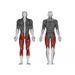 Steelflex Plate Loaded Decline Leg Press - Strength Machines - Steelflex