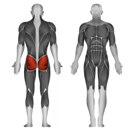 Steelflex Plate - Loaded Hip Extension - Strength Machines - Steelflex