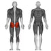Steelflex Plate - Loaded Hip Extension - Strength Machines - Steelflex