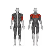 Steelflex Plate Loaded Incline Press - Strength Machines - Steelflex