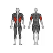 Steelflex Plate Loaded Lat Pulldown - Strength Machines - Steelflex