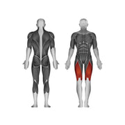 Steelflex Plate Loaded Leg Extension - Strength Machines - Steelflex