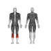 Steelflex Plate Loaded Seated Calf Raise - Strength Machines - Steelflex