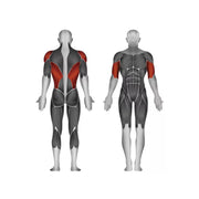 Steelflex Plate Loaded Seated Row - Strength Machines - Steelflex