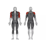 Steelflex Plate Loaded Shoulder Press - Strength Machines - Steelflex