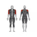 Steelflex Plate Loaded Shoulder Press - Strength Machines - Steelflex