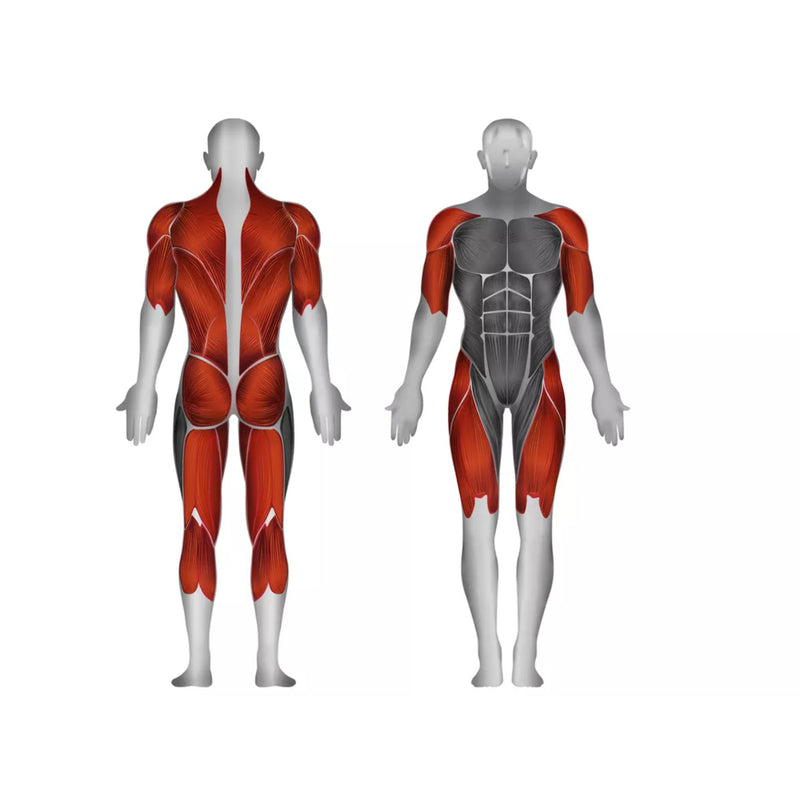Steelflex Plate Loaded Squat / Deadlift / Rows - Strength Machines - Steelflex