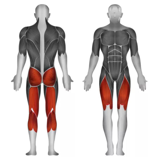 Steelflex Plate Loaded Standing Squat - Strength Machines - Steelflex