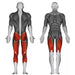 Steelflex Plate Loaded Standing Squat - Strength Machines - Steelflex