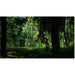 ThermaSol Vue - Front Panoramic Glass, 3 - 4 Person, Outdoor Sauna - Saunas - ThermaSol