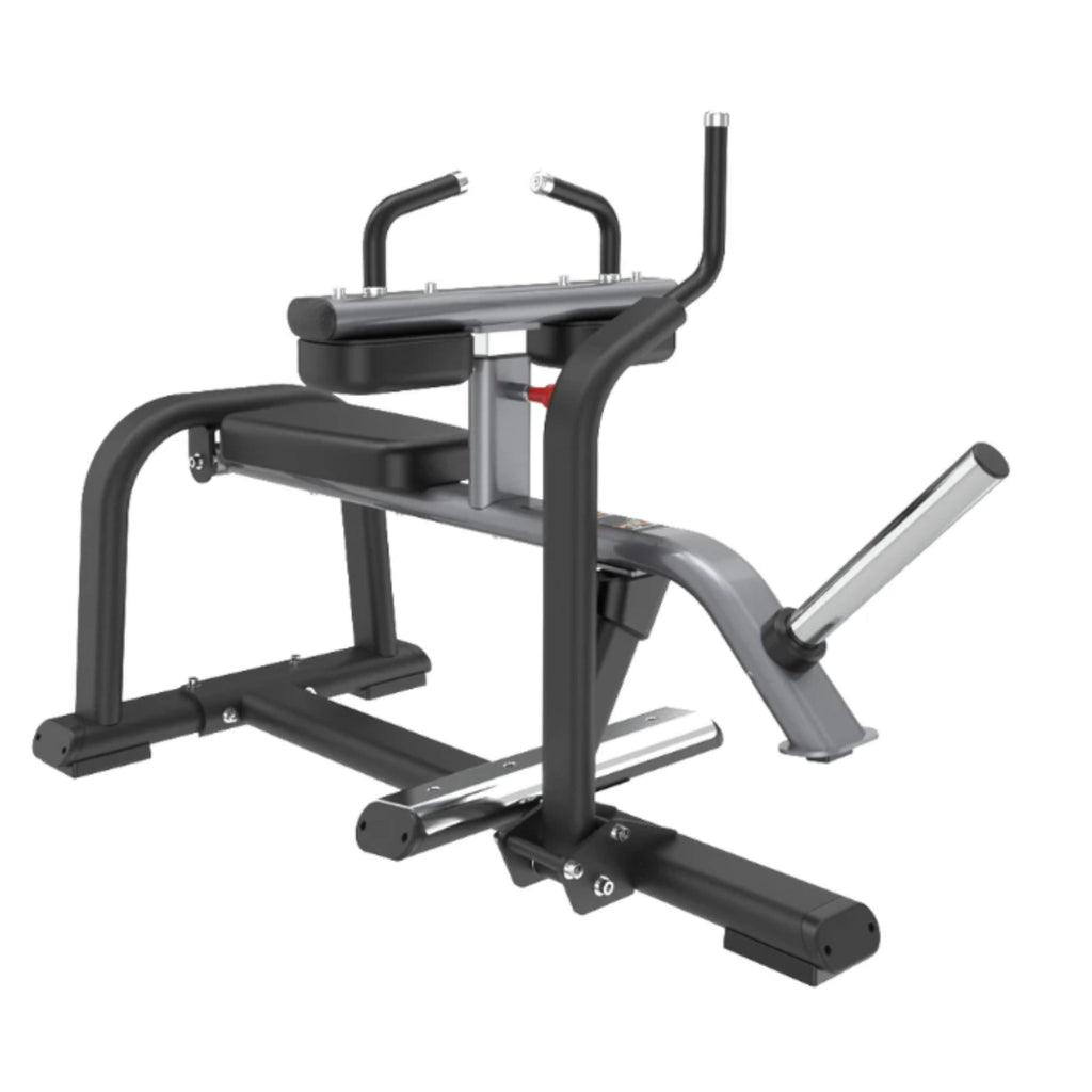 Calf Machines - Gym Emotion