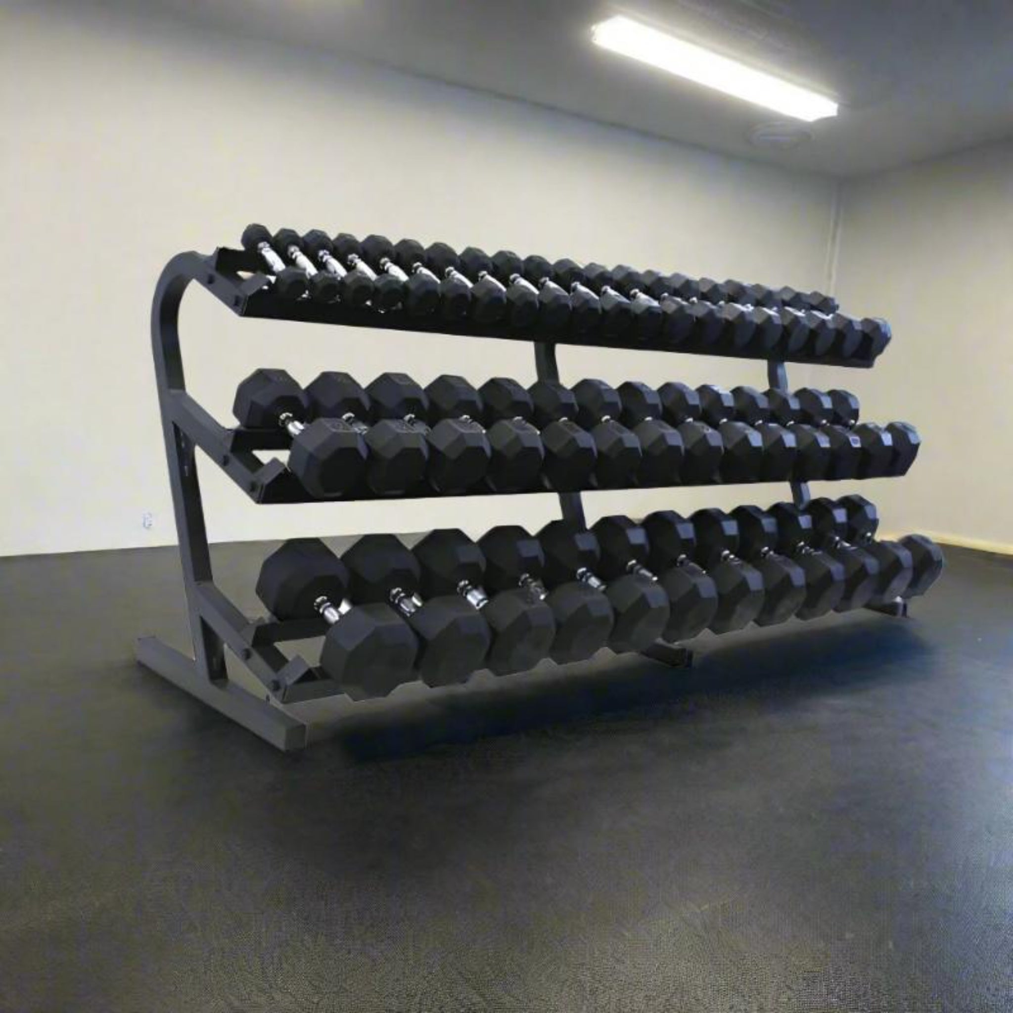 Troy VTX Rubber Dumbbells with Rail Rack (5-100 lbs) - Gym Emotion